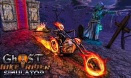 恶灵骑士1在线观看,复仇之焰，在线惊悚之旅